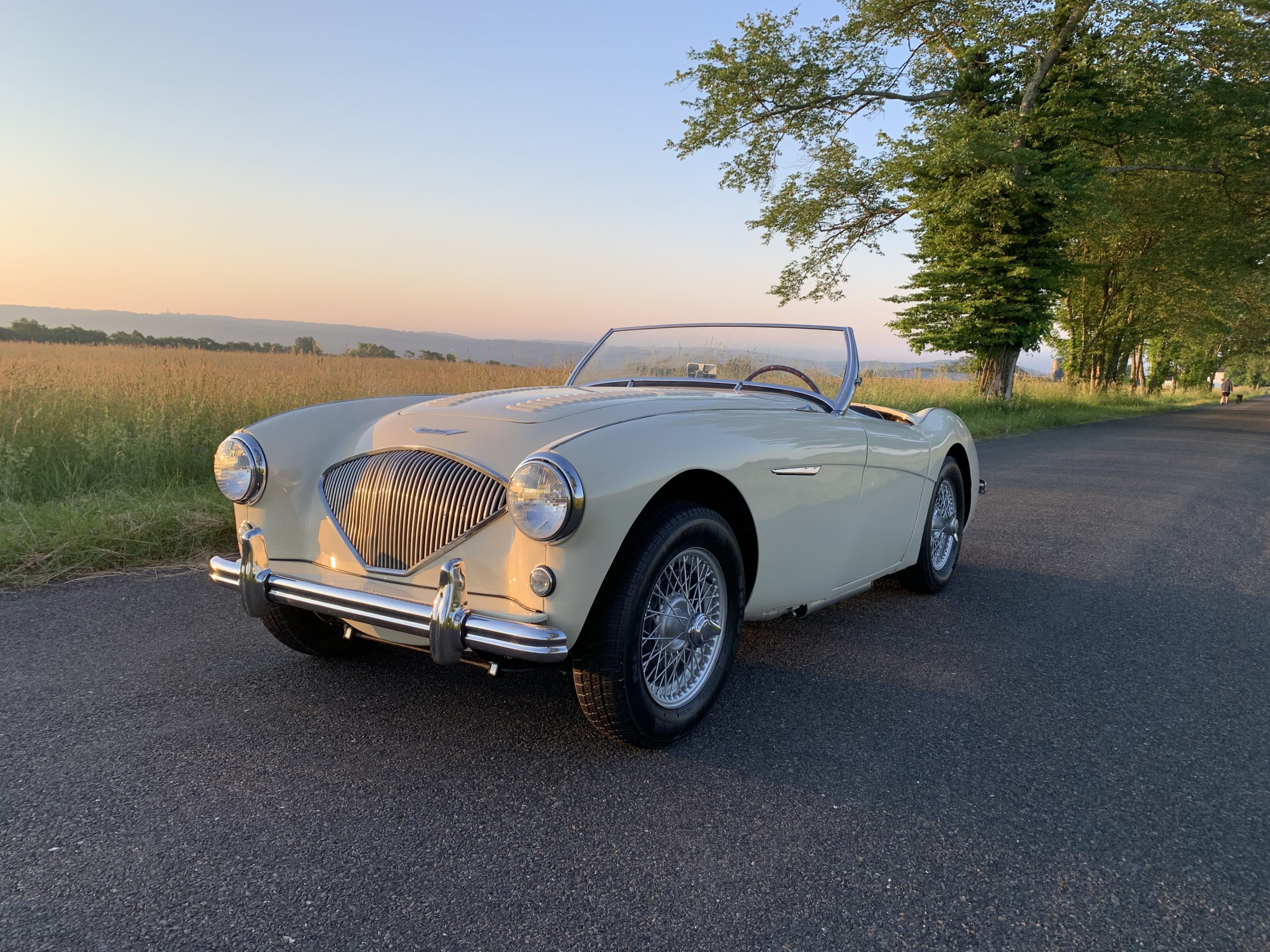 1956 Austin Healey 100/M